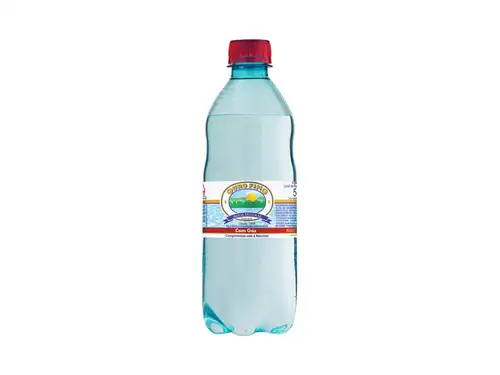 Água Com Gás 500 ml